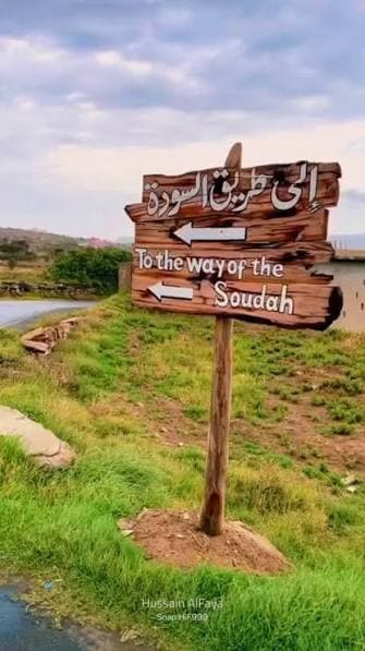 السودة